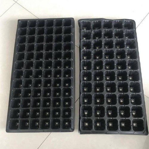 育苗盘 育苗盘厂家 祥庆育苗盘 穴盘育苗盘