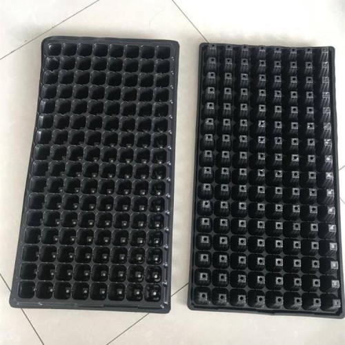 育苗盘 105孔育苗盘穴盘 育苗盘厂家 贵州育苗盘