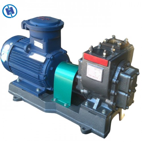 不锈钢圆弧齿轮泵压力泵抽油泵