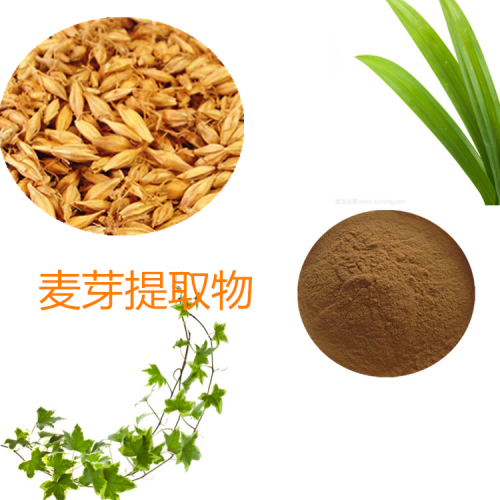 麦芽提取物 水提  10:1  麦芽速溶粉