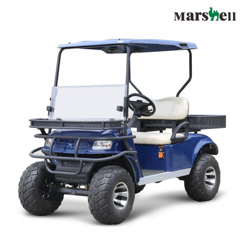 电动高尔夫看房车 电动高尔夫球车  代步车