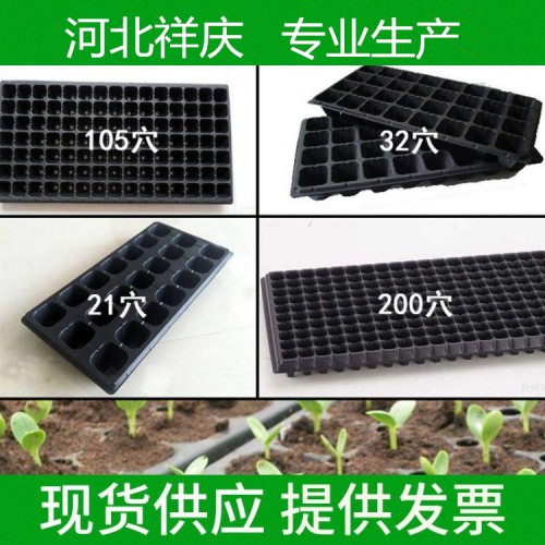 育苗盘 芽苗盘 育苗盘供应厂家 穴盘育苗盘