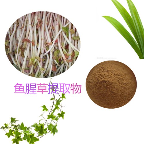 鱼腥草提取物 水提 10:1 鱼腥草粉 水溶 鱼腥草浸膏