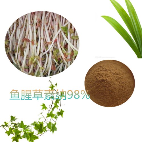 鱼腥草素纳 98%  鱼腥草提取液 10：1 多规格