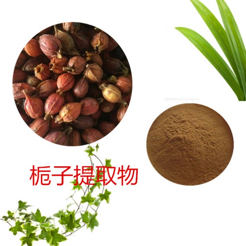 栀子提取物 水提  10:1  栀子速溶粉  栀子浸膏
