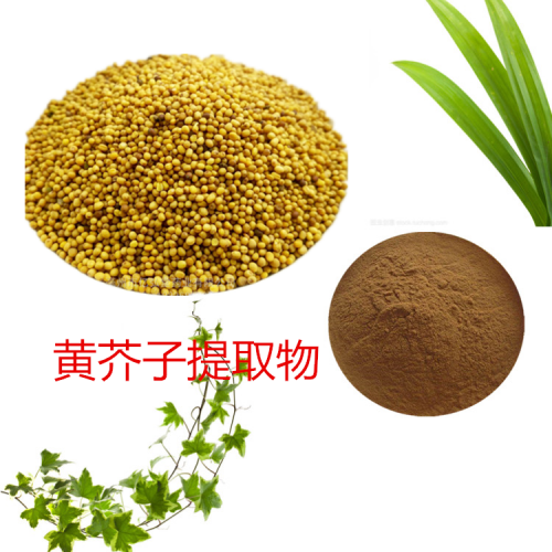 黄芥子提取物 水提 10:1黄芥子粉 水溶 黄芥子浸膏