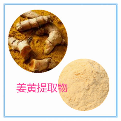 姜黄提取物 水提 10:1  姜黄粉 水溶  姜黄浸膏