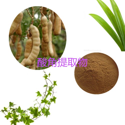 酸角提取物  罗望子提取物 酸角粉 速溶  酸角浸膏