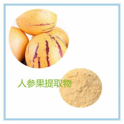 人参果提取物 水提  10:1   人参果粉 人参果浸膏