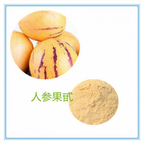 人参果甙 人参果总甙 人参果提取液 10:1