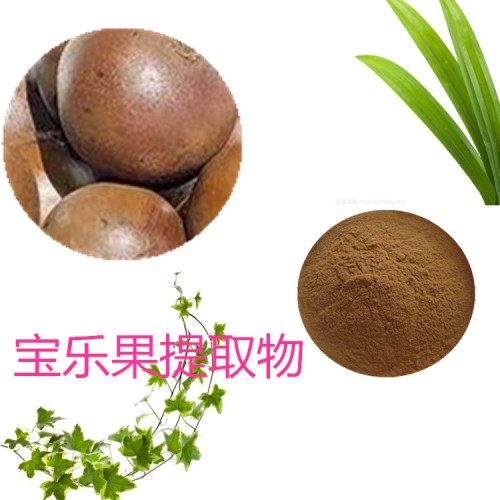 宝乐果提取物 水提 10:1 宝乐果粉 水溶 宝乐果浸膏