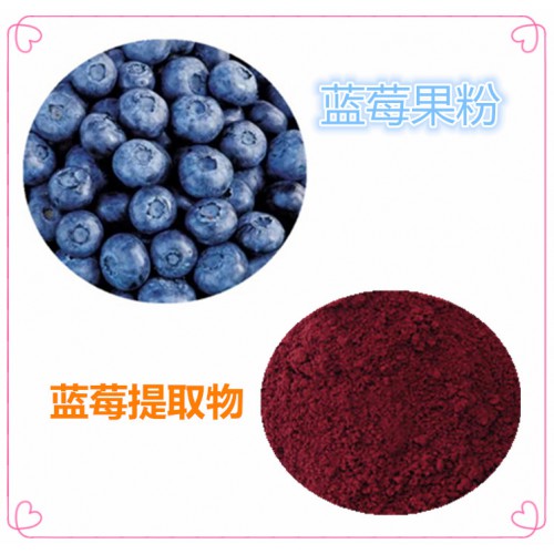 蓝莓粉  蓝莓速溶粉 蓝莓提取物 水提 10:1