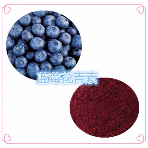 蓝莓花青素 25%  蓝莓提取液 10:1  20:1