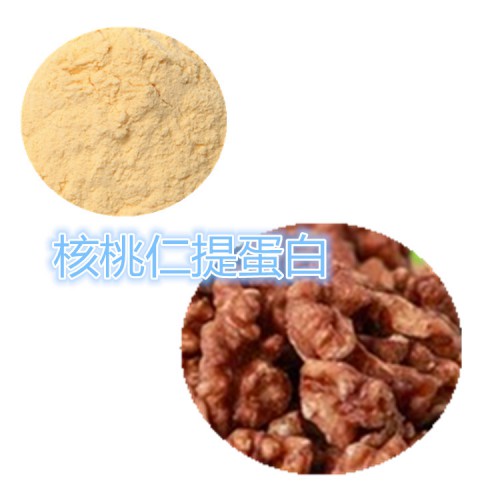 核桃仁蛋白  核桃仁肽 合肽人小分子肽 90%