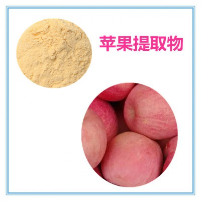 苹果粉 苹果速溶粉 苹果提取物 水提 10:1