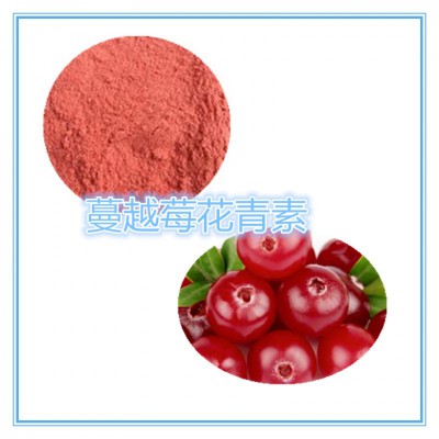 蔓越莓花青素 25%  蔓越莓提取液 10:1 多规格