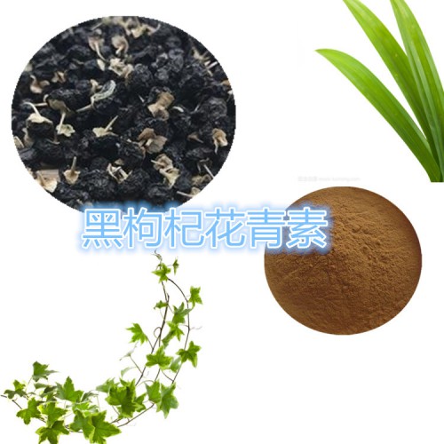 黑枸杞花青素 25%  黑枸杞提取液 10:1
