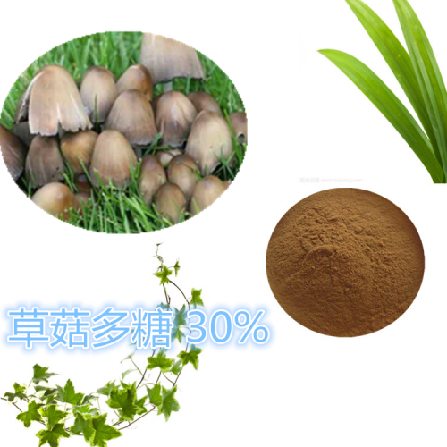 草菇多糖 30%  50%  草菇提取液 10:1