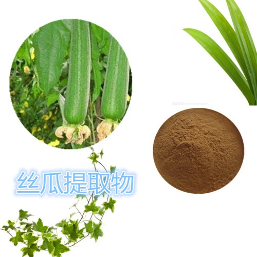 丝瓜提取物 水提 10:1 丝瓜浸膏粉 丝瓜粉