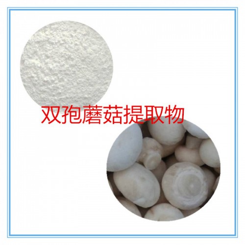 双孢蘑菇提取物 水提 10:1 双孢蘑菇粉