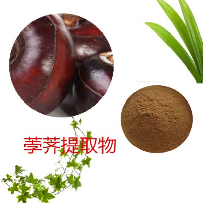 荸荠速溶粉 荸荠提取物 水提 10:1  荸荠浸膏 荸荠粉