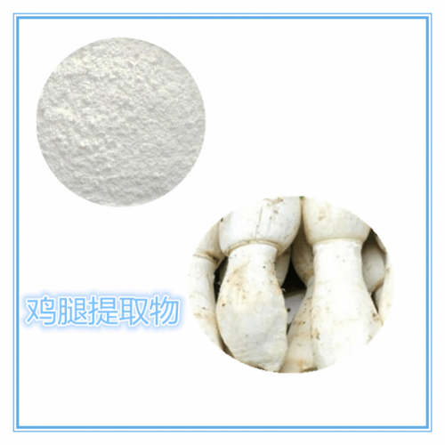 鸡腿菇提取物 水提 10:1 鸡腿菇粉 水溶 鸡腿菇浸膏