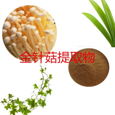 金针菇提取物 水提 10:1 金针菇粉 水溶 金针菇浸膏