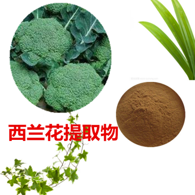 西兰花提取物 水提 10:1 西兰花粉  西兰花浸膏