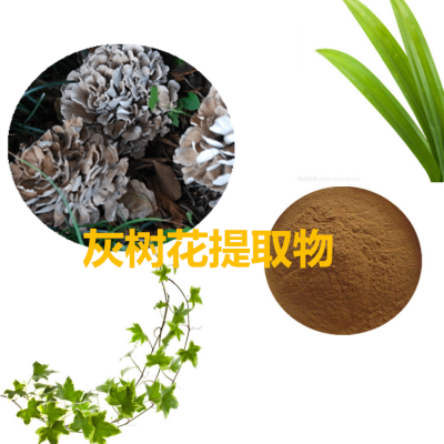 灰树花提取物 水提 10:1 灰树花粉  灰树花浸膏