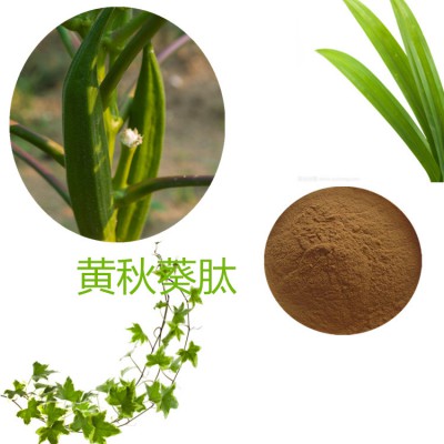 黄秋葵多肽 90%  黄秋葵蛋白 80%  小分子肽