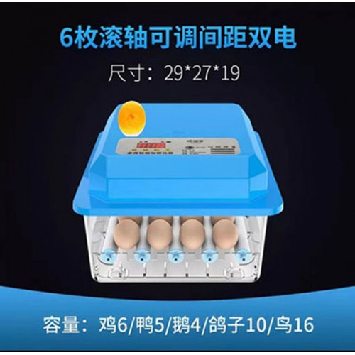 保温箱孵化器 小型孵化机  家用孵化器 全自动智能孵化箱