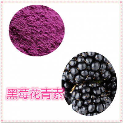 黑莓花青素 25%  黑莓浸膏 黑莓提取液 10:1