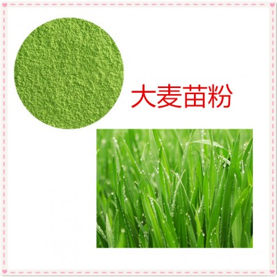 大麦苗粉 大麦苗速溶粉 大麦苗提取物 10:1