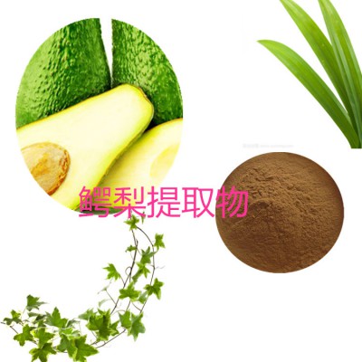 鳄梨粉 鳄梨速溶粉 鳄梨提取物 10:1 鳄梨浸膏