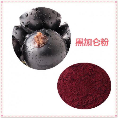 黑加仑粉 黑加仑速溶粉 黑加仑提取物 10:1
