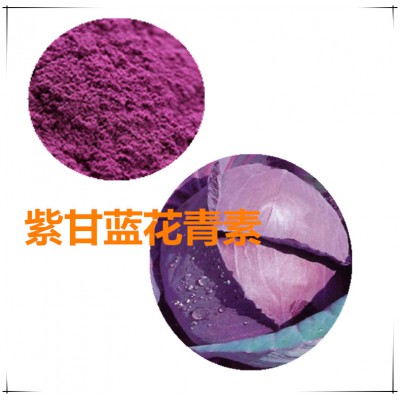 紫甘蓝花青素 25% 紫甘蓝提取液 10:1 多规格
