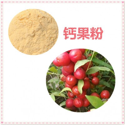 钙果提取物 水提 10:1 钙果浸膏 钙果速溶粉