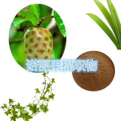 诺丽果提取物 水提 10:1  诺丽果浸膏 诺丽果速溶粉