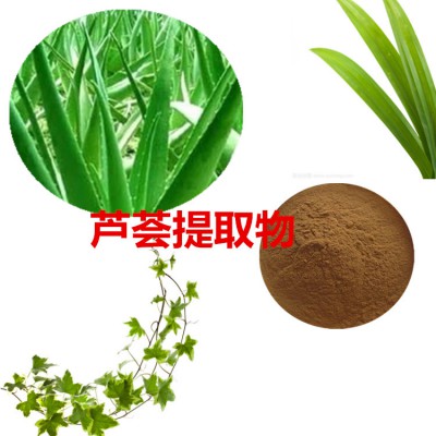 芦荟提取物 水提 10:1  芦荟浸膏 库拉索芦荟速溶粉
