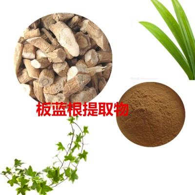 板蓝根提取物 水提 10:1  板蓝根浸膏 板蓝根速溶粉