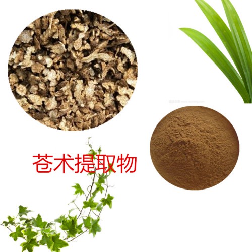 苍术提取物 水提 10:1  苍术浸膏 苍术速溶粉
