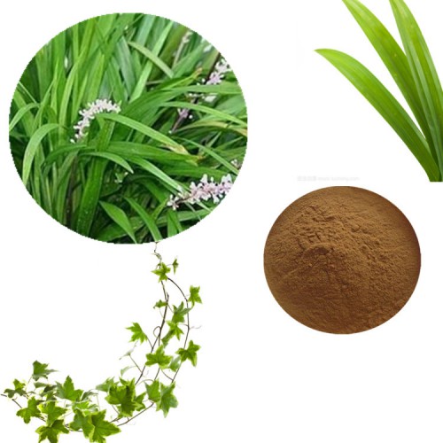 麦冬提取物 水提 10:1  麦冬浸膏 麦冬速溶粉