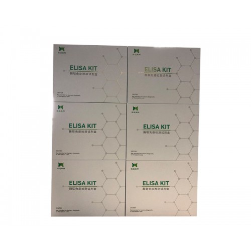 小鼠信号转导分子2（smad2）ELISA试剂盒