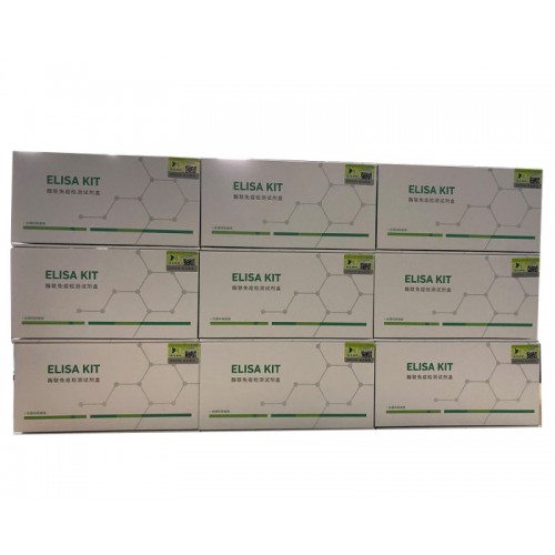 绵羊血管内皮细胞生长因子(VEGF)ELISA试剂盒