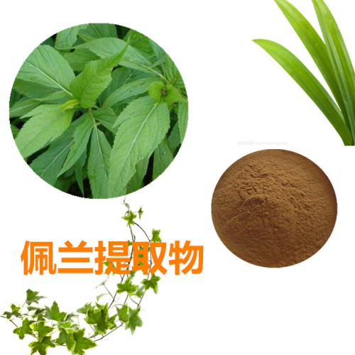 佩兰提取物 水提 10:1  佩兰浸膏 佩兰速溶粉