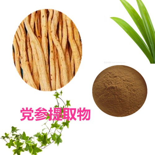 党参提取物 水提 10:1  党参浸膏 党参速溶粉