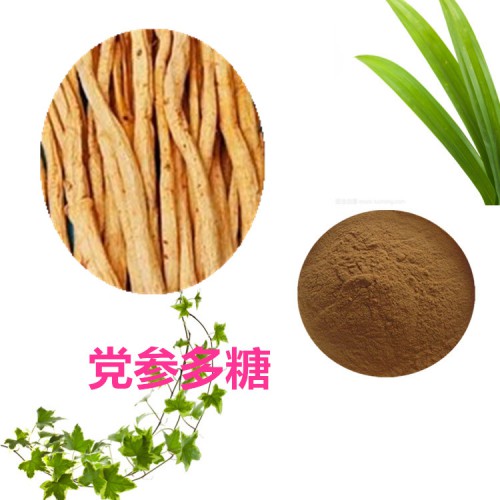 党参多糖 30%  50%  党参浸膏粉 党参提取液