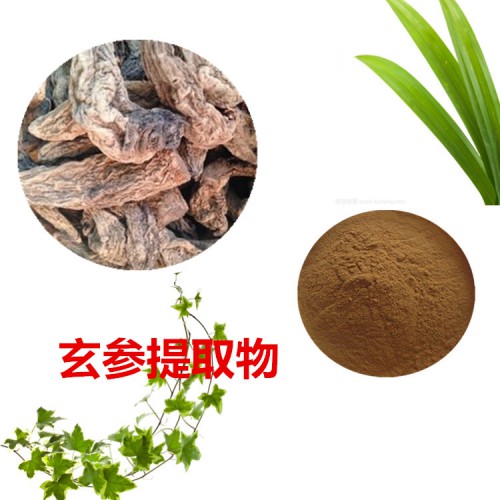 玄参提取物 水提 10:1  玄参浸膏 玄参速溶粉