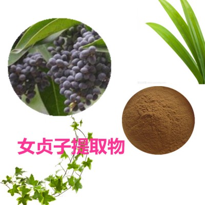 女贞子提取物 水提 10:1  女贞子浸膏 女贞子速溶粉