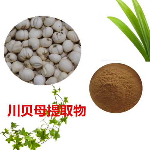 川贝母提取物 水提 10:1  川贝母浸膏 川贝母速溶粉